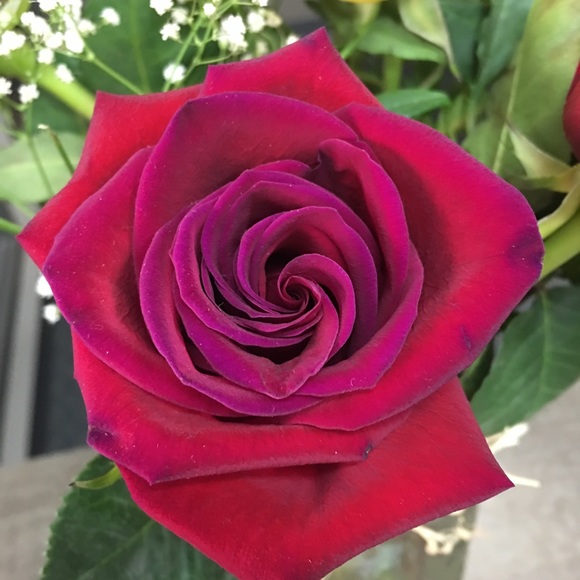 Meet your Posher, Dana - Picture 1 of 1